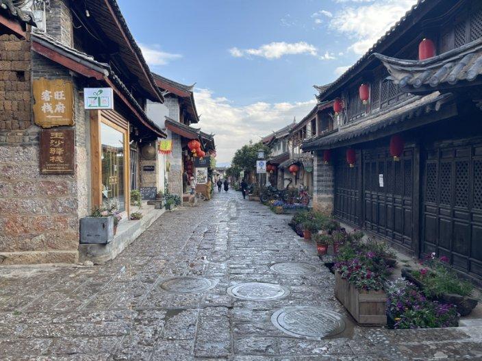 奥日与黑暗森林